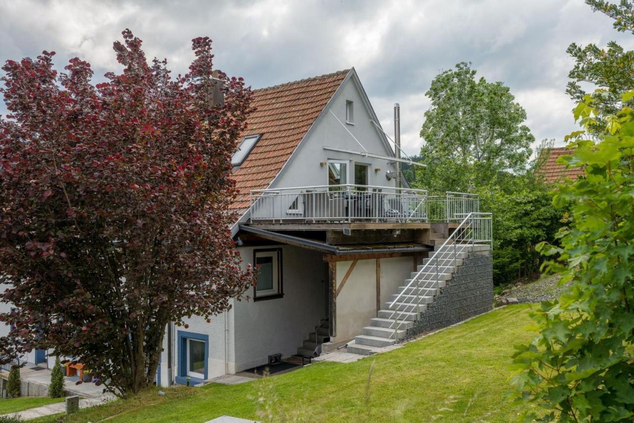 Grosses Ferienhaus Mit Sauna, Grill, Garten, Kaminofen Apartamento Schonach im Schwarzwald Exterior foto